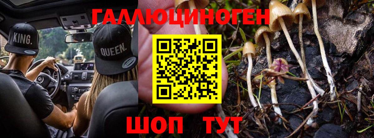 купить закладку  Вход с VPN  Кувандык  Галлюциногенные грибы Cubensis 