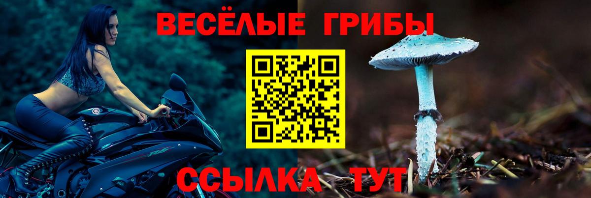 МАРИХУАНА Кувандык