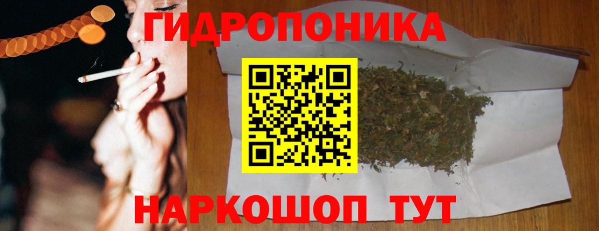 Конопля план Кувандык